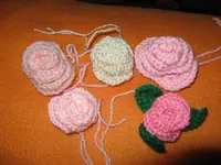 IMG_5314_1024x768.webp