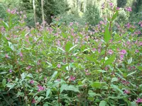 DSCF2760 2.webp