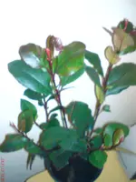 DSC01657.webp