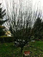 Foto.webp