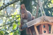 2012_1125Herbst0025 d.webp