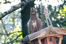 2012_1125Herbst0028 f.webp