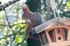 2012_1125Herbst0031 h.webp