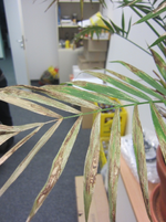 IMG_1904.webp