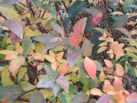 Bild 2101.webp