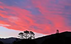 Copy of IMG_4992v.webp