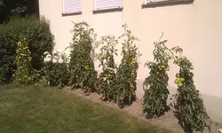 2012-08-12 12.16.39.webp