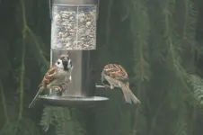 2012_1127Herbst0013.webp