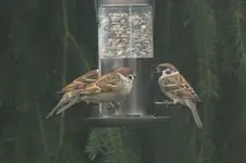 2012_1127Herbst0017.webp