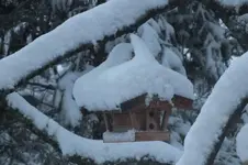 2012_1129Herbst0023.webp