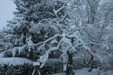 2012_1129Herbst0024.webp