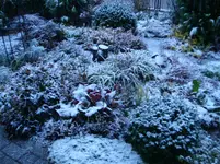 DSC01758.webp