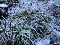 DSC01761.webp