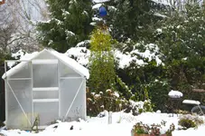 garten2.webp