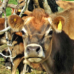 Copy of Copy of IMG_3857.webp