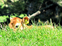 Copy (2) of IMG_6343v.webp