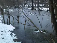 Eiszeit.webp