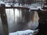 Stegblick.webp