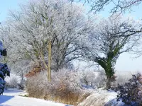 900_DSCF0416.webp