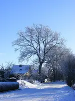 900_DSCF0418.webp