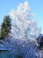900_DSCF0419.webp