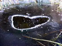 _Zum Valentinstag.webp