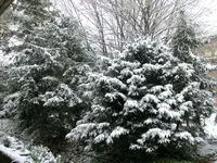 CIMG2227.webp