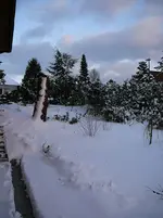 P1040934.webp