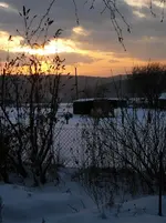P1040930.webp