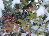 021.webp