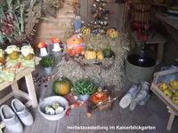 Herbst.webp