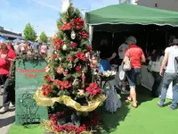 Copy of IMG_5066.webp