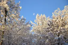 DSC_0353.webp
