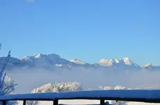 DSC_0400.webp