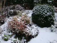 DSC01881.webp