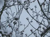 023.webp