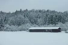 2012_1201Herbst0017.webp