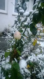 WP_20121204_002.webp