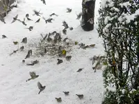DSCN5488.webp