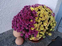 Herbst.webp