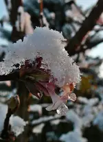 P1090168.webp