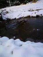 Bächlein2Dez12.webp