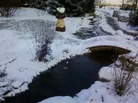 Bächlein3Dez12.webp