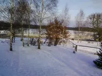 PanoramaBirkenDez12.webp