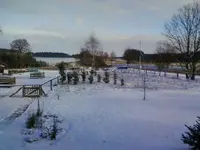 WäldchenDez12.webp