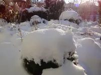 DSC01936.webp
