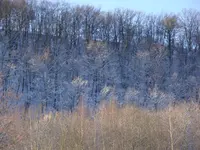 DSC01943.webp
