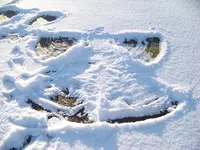 winter 002.webp