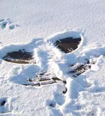 winter 003.webp