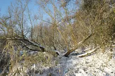 Winterwelt_2_DSC05577.webp
